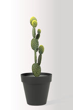 Yapay Opuntia Kaktüs 65 cm | Saksılı Dekoratif Yapay Bitki