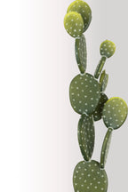 Yapay Opuntia Kaktüs 65 cm | Saksılı Dekoratif Yapay Bitki