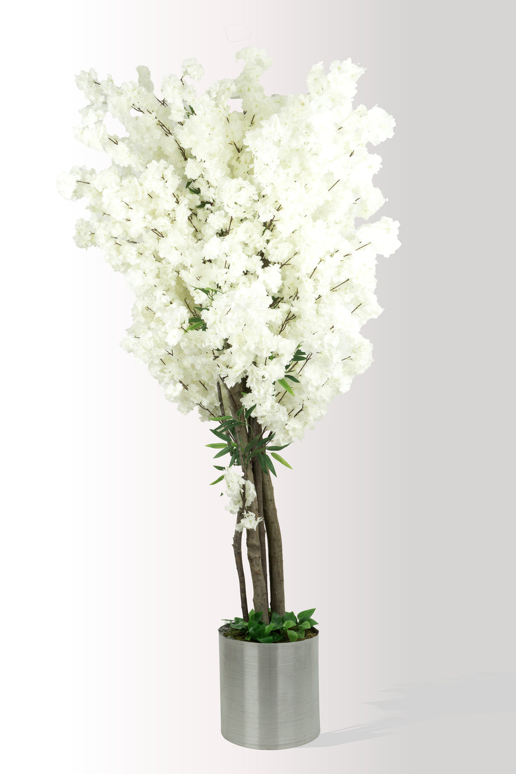 220 cm Dev Boy Yapay Beyaz Bahar Dalı- Kiraz Çiçeği Ağacı (Sakura) - Metal Saksılı