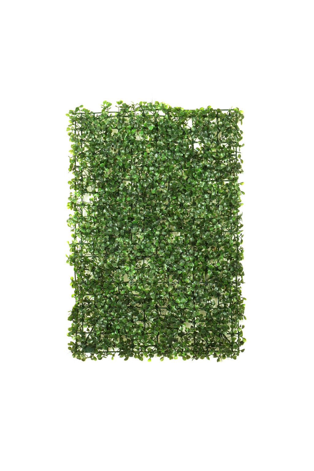Yapay Şimşir Duvar Paneli | Dekoratif Panel 40x60