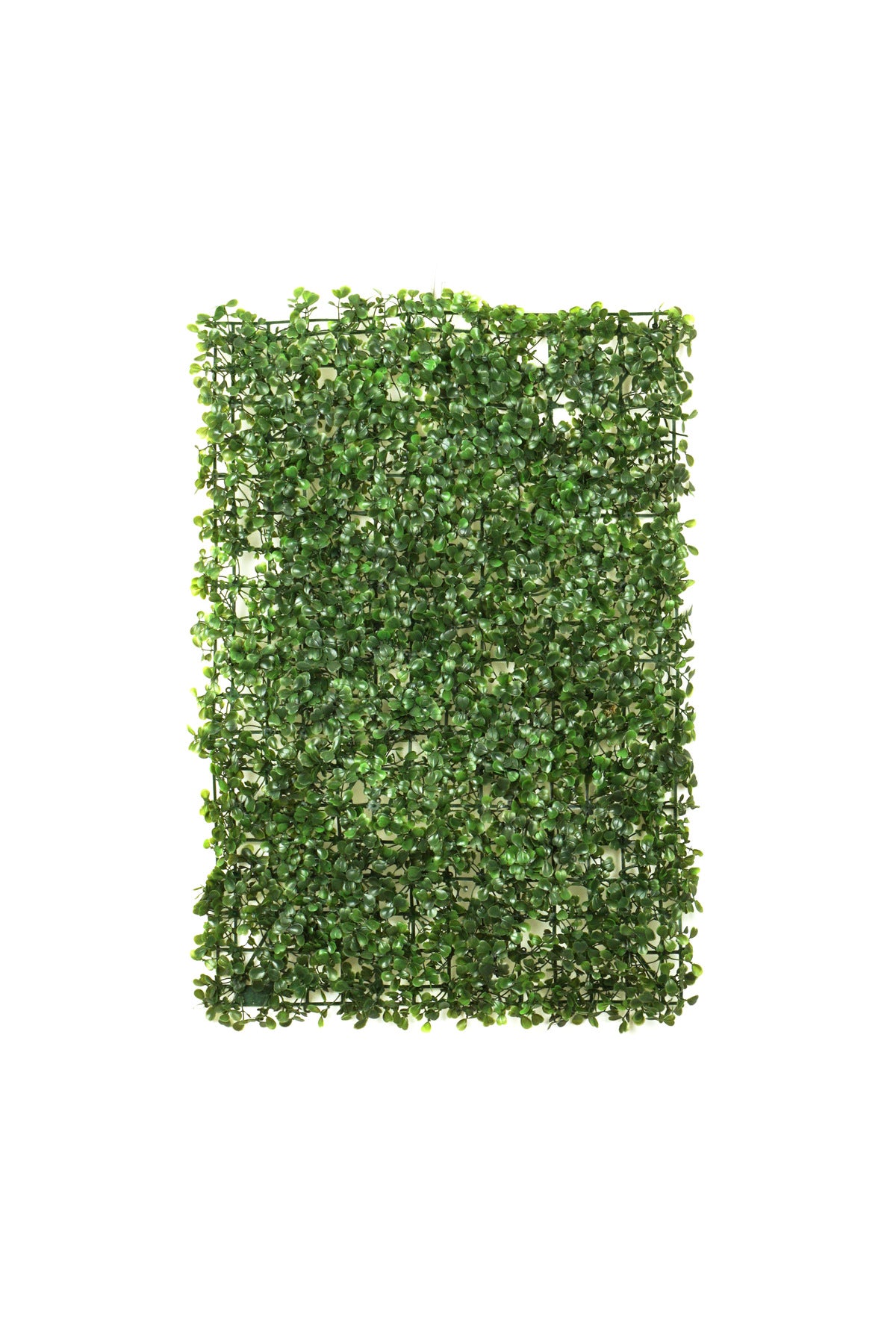 Yapay Şimşir Duvar Paneli | Dekoratif Panel 40x60