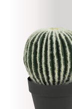 40 cm Yapay Yuvarlak Kaktüs - Büyük Boy Gerçekçi Masaüstü Dekoru - Bakım Gerektirmez