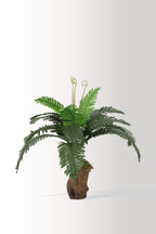 Yapay Bitki Kütük Saksıda Sikas (Chikas) Palmiyesi - Doğal Görünümlü Dekoratif Salon Ofis Bitkisi