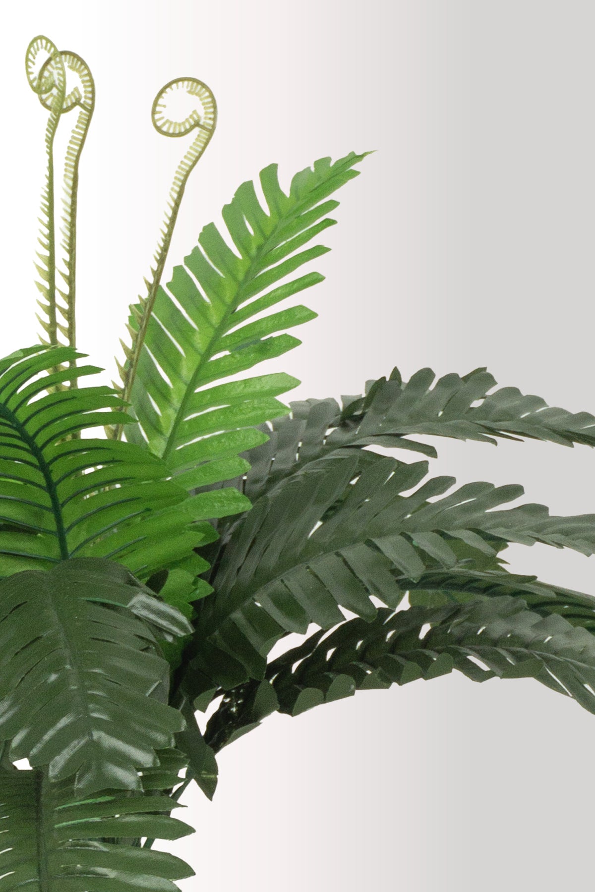 Yapay Bitki Kütük Saksıda Sikas (Chikas) Palmiyesi - Doğal Görünümlü Dekoratif Salon Ofis Bitkisi