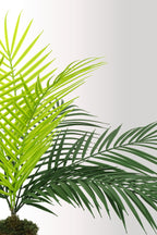 Yapay Bitki Kütük Saksıda Sikas (Chikas) Palmiyesi - Doğal Görünümlü Dekoratif Salon Ofis Bitkisi