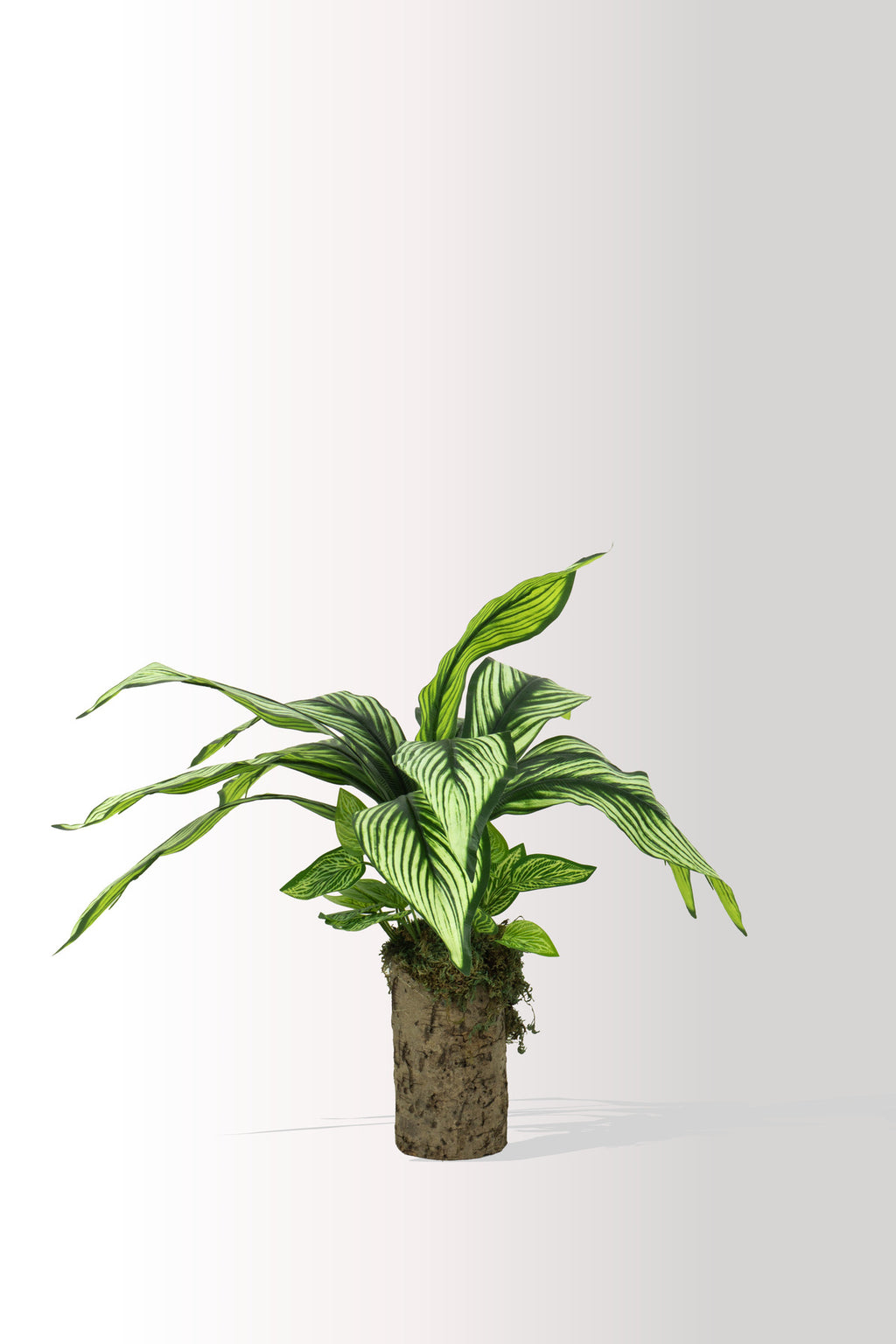 Kütük Saksıda Yıldız Çiçeği – Dekoratif Yapay Çiçek