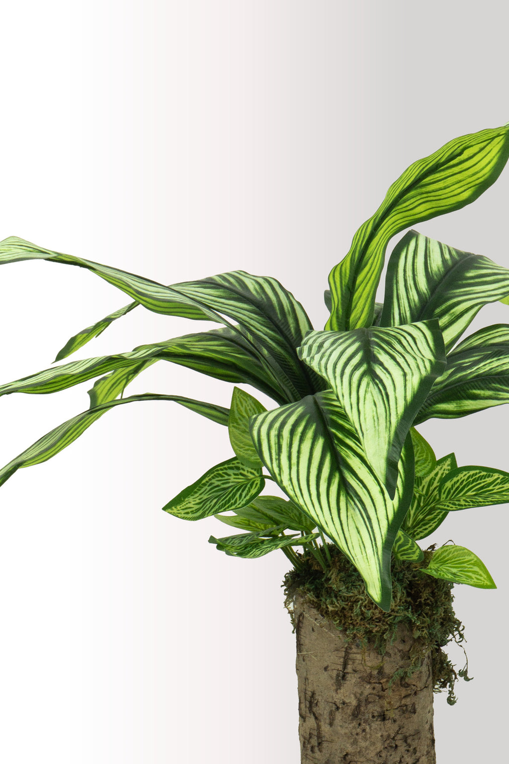 Kütük Saksıda Yıldız Çiçeği – Dekoratif Yapay Çiçek