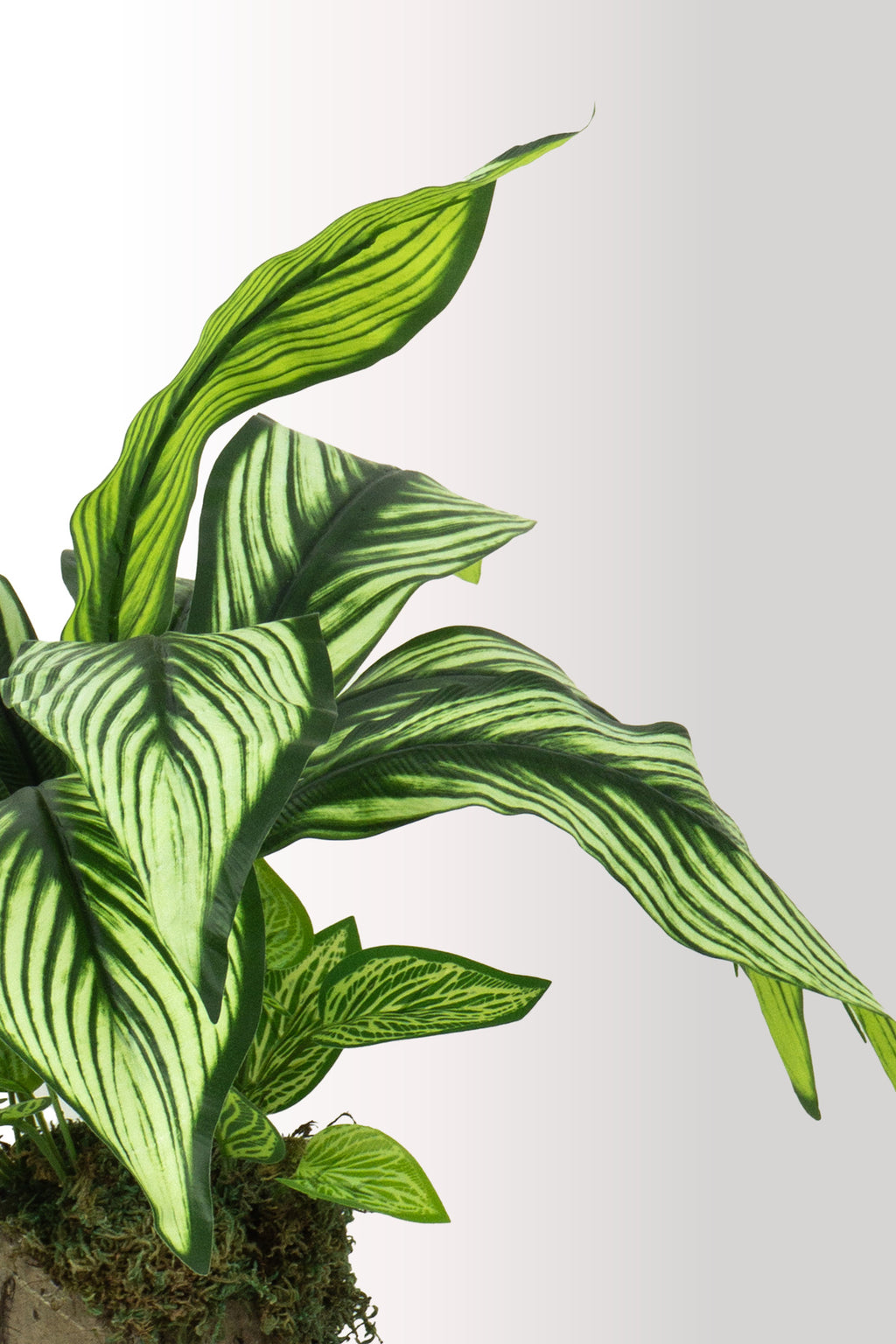 Kütük Saksıda Yıldız Çiçeği – Dekoratif Yapay Çiçek