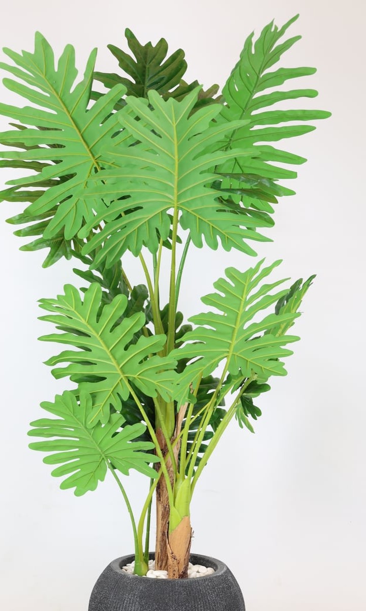 Antrasit Petek Dokulu Küre Saksıda Yapay Philodendron Selloum – 160 cm