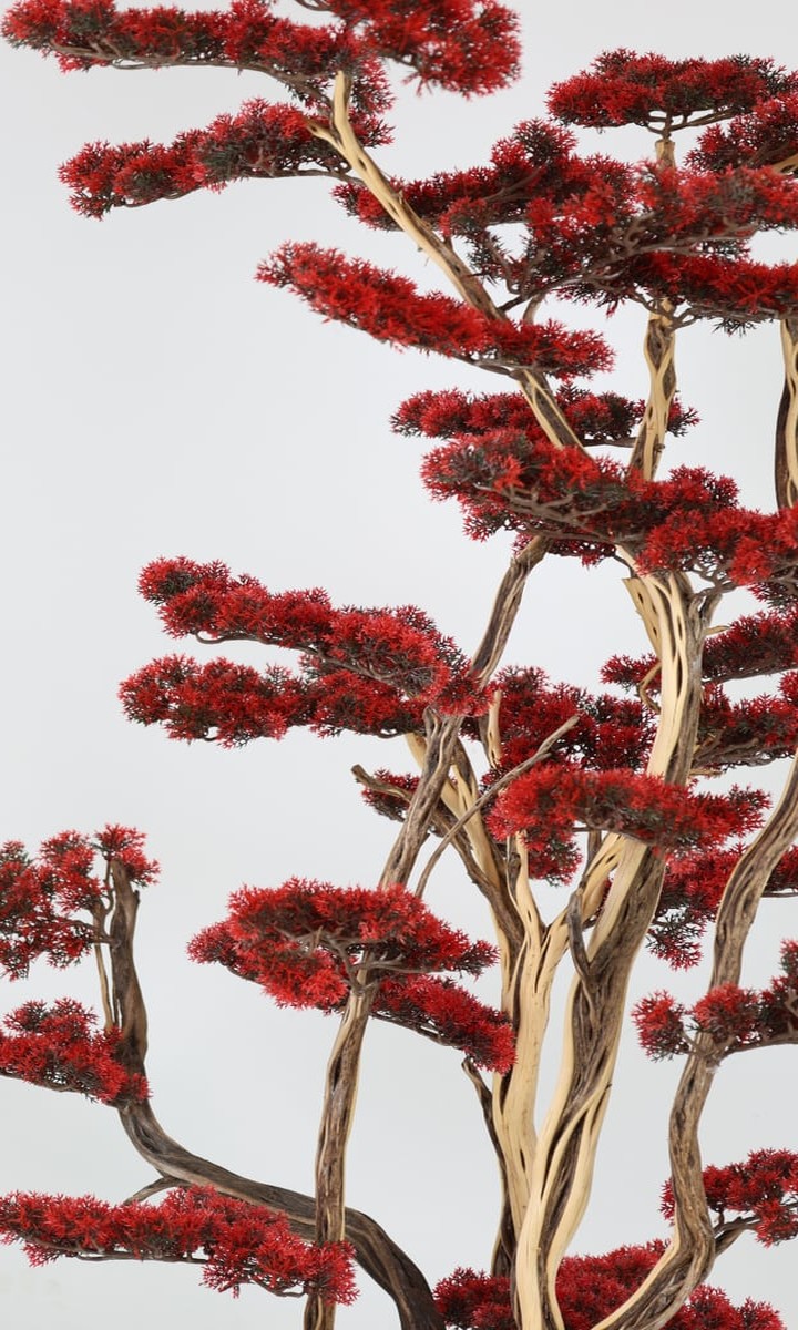 Beyaz Küre Saksıda Doğal Gövdeli Bordo-Kırmızı Yapay Çam Bonsai – 140 cm - Görsel 2
