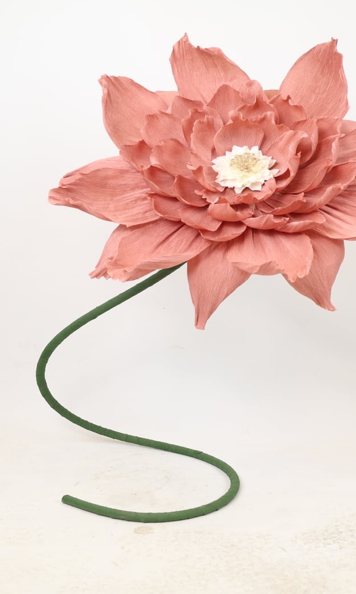 Dev Ayaklı Mercan ve Gül Kurusu Dekoratif Lotus Çiçeği – 170 cm - Görsel 3