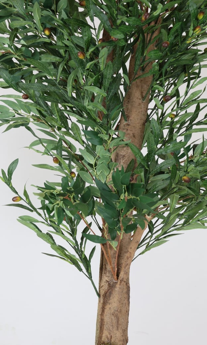 Doğal Çok Gövdeli Yosun Tabanlı Meyveli Yapay Zeytin Ağacı – 175 cm - Görsel 2