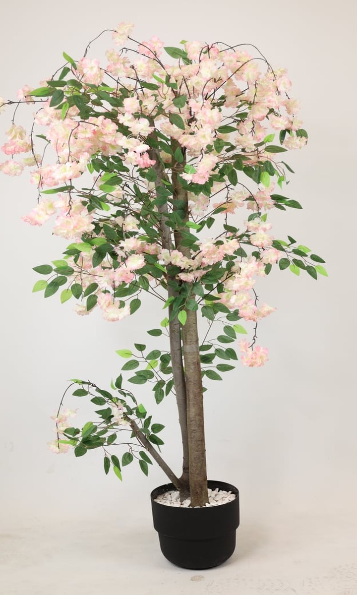 Doğal Ahşap Gövdeli Pudra Pembe Sarkık Sakura (Kiraz Çiçeği) Ağacı – 180 cm - Görsel 2