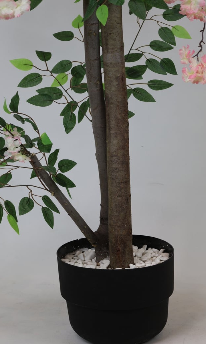 Doğal Ahşap Gövdeli Pudra Pembe Sarkık Sakura (Kiraz Çiçeği) Ağacı – 180 cm - Görsel 3