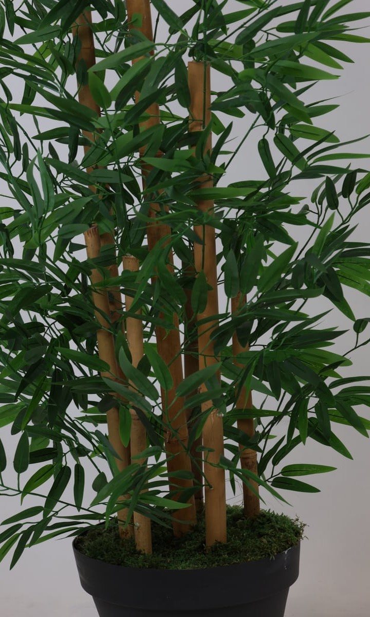 Gerçek Bambu Gövdeli Çok Dallı Yapay Bambu Ağacı – 180 cm - Görsel 2