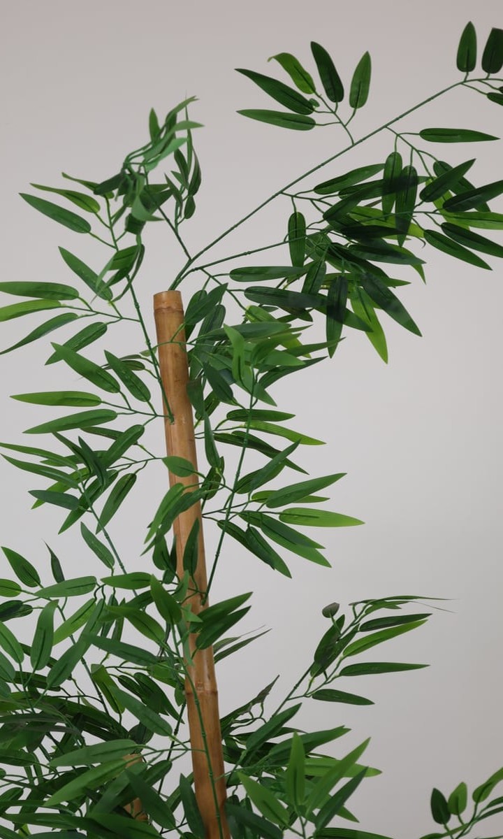 Gerçek Bambu Gövdeli Çok Dallı Yapay Bambu Ağacı – 180 cm - Görsel 3