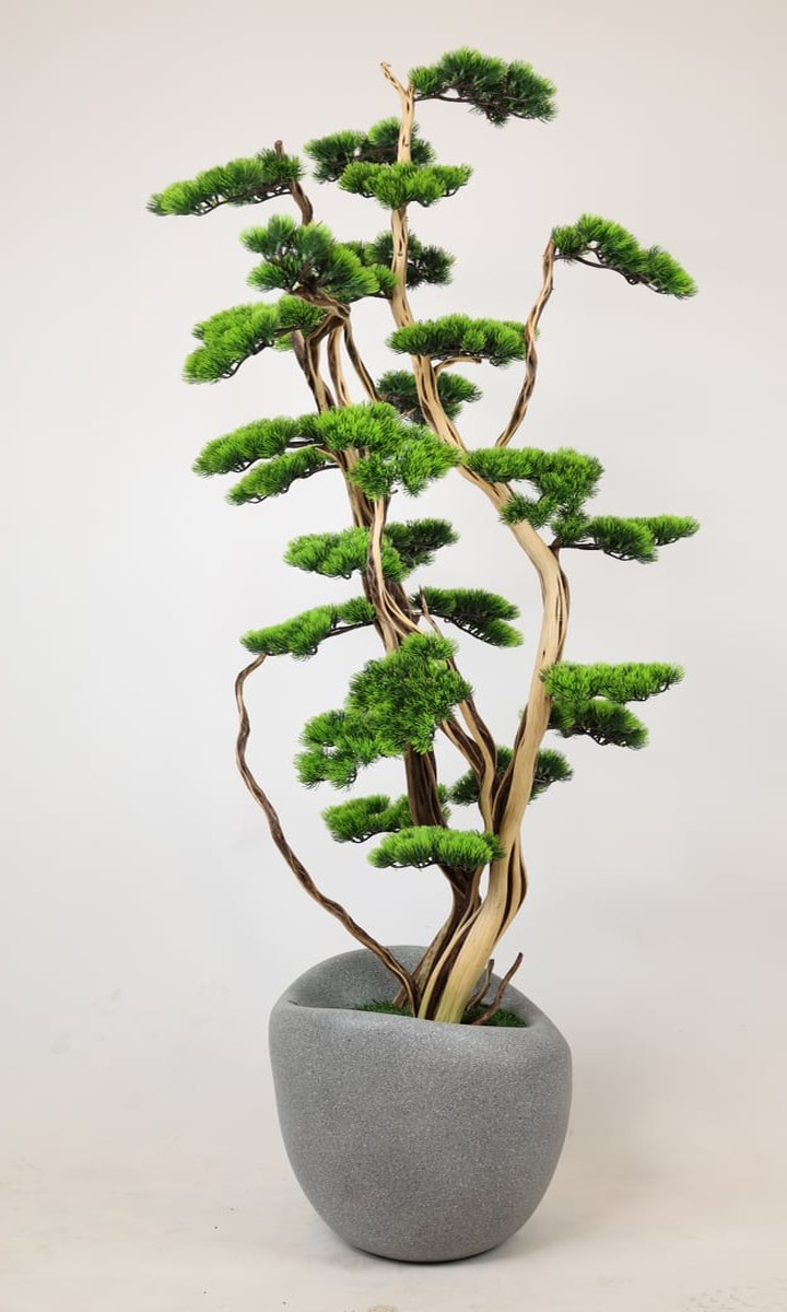 Gri Taş Saksıda Kıvrımlı Yapay Çam Bonsai Atölye Üretimi