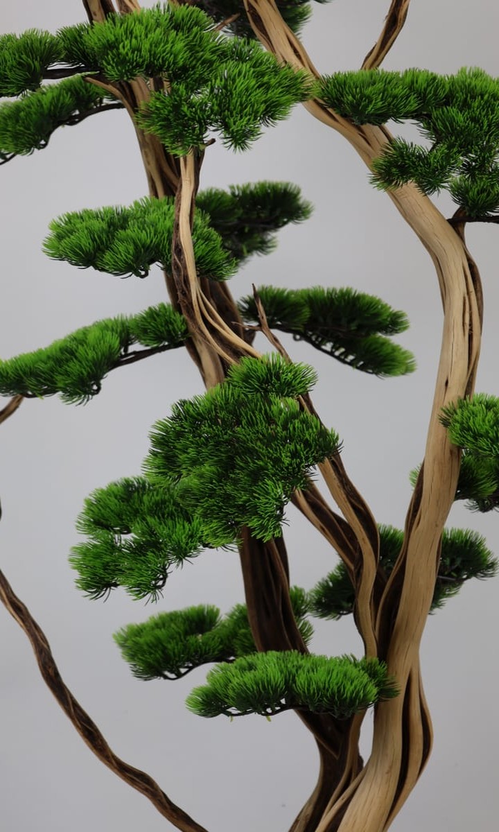 Gri Asimetrik Taş Saksıda Kıvrımlı Gövdeli Yapay Çam Bonsai Ağacı – 155 cm - Görsel 2