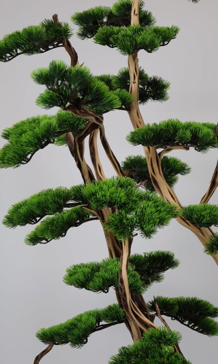 Gri Asimetrik Taş Saksıda Kıvrımlı Gövdeli Yapay Çam Bonsai Ağacı – 155 cm - Görsel 4