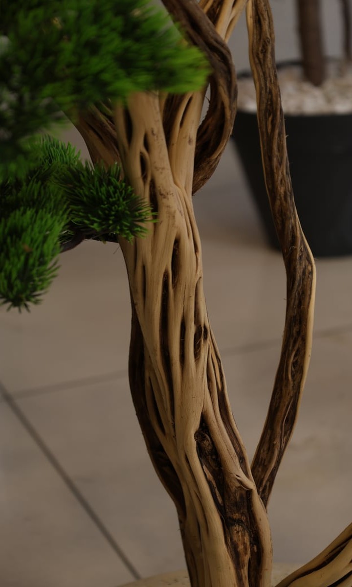 Gri Asimetrik Taş Saksıda Kıvrımlı Gövdeli Yapay Çam Bonsai Ağacı – 155 cm - Görsel 5