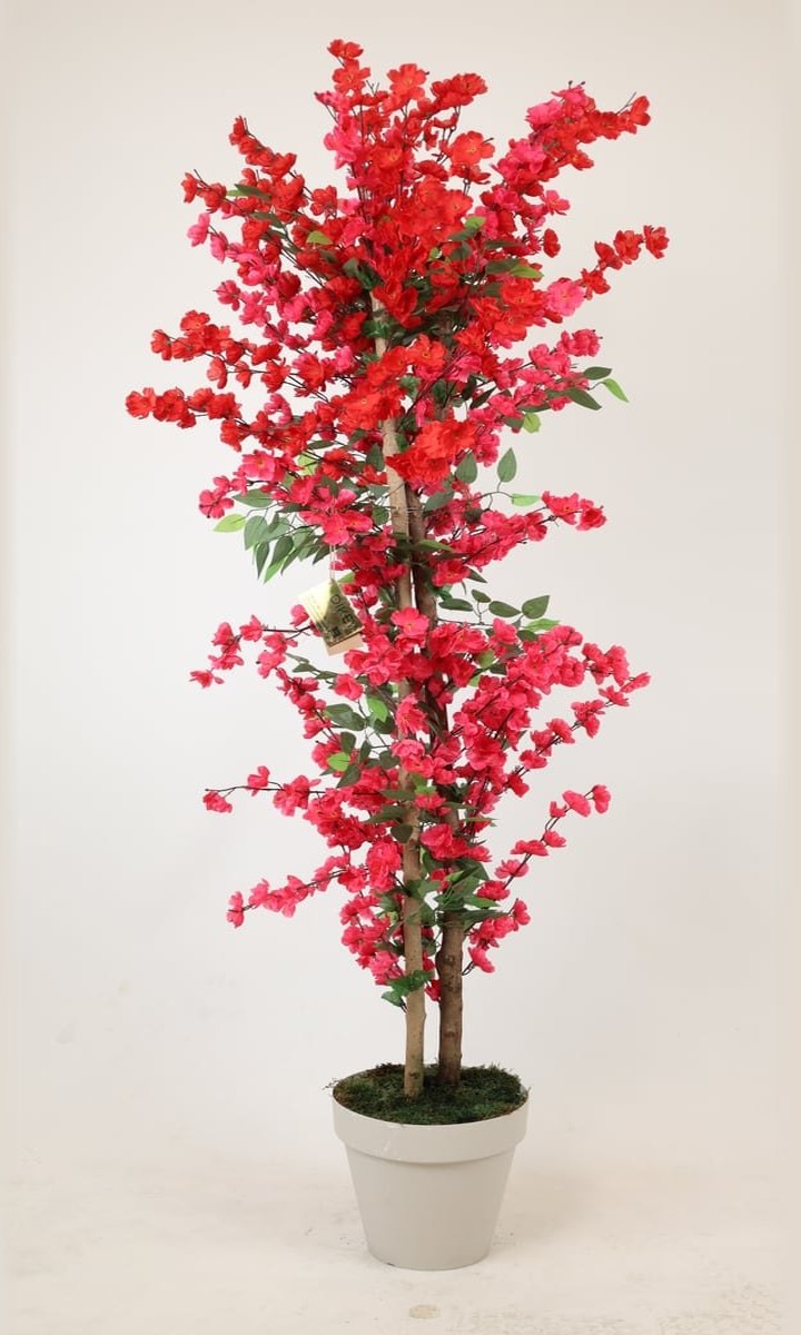 Krem Saksıda Dikey Formlu Kırmızı Yapay Bahar Dalı (Sakura) Ağacı – 165 cm - Görsel 1