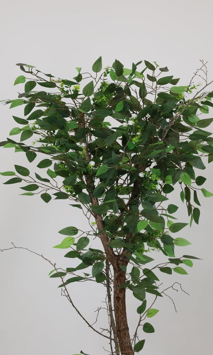 Krem Saksıda Çok Gövdeli Doğal Yapay Ficus Benjamin Ağacı – 175 cm - Görsel 3