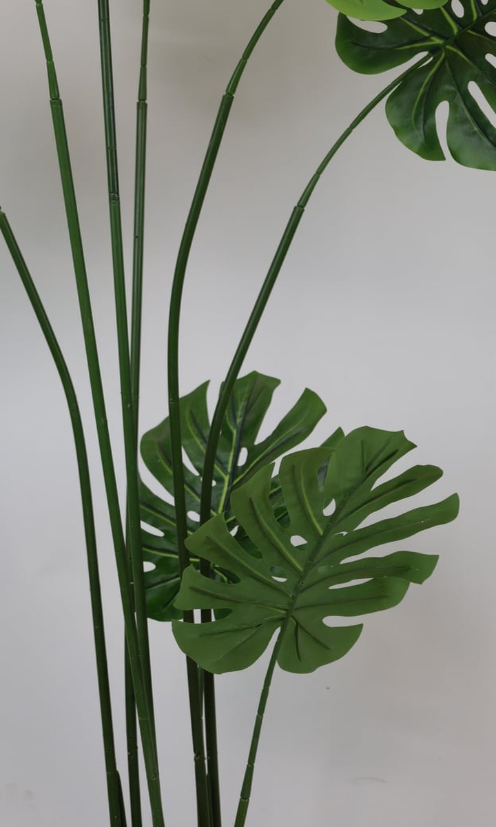 Krem Saksıda Uzun Dallı Yapay Monstera (Deve Tabanı) Bitkisi – 150 cm - Görsel 2
