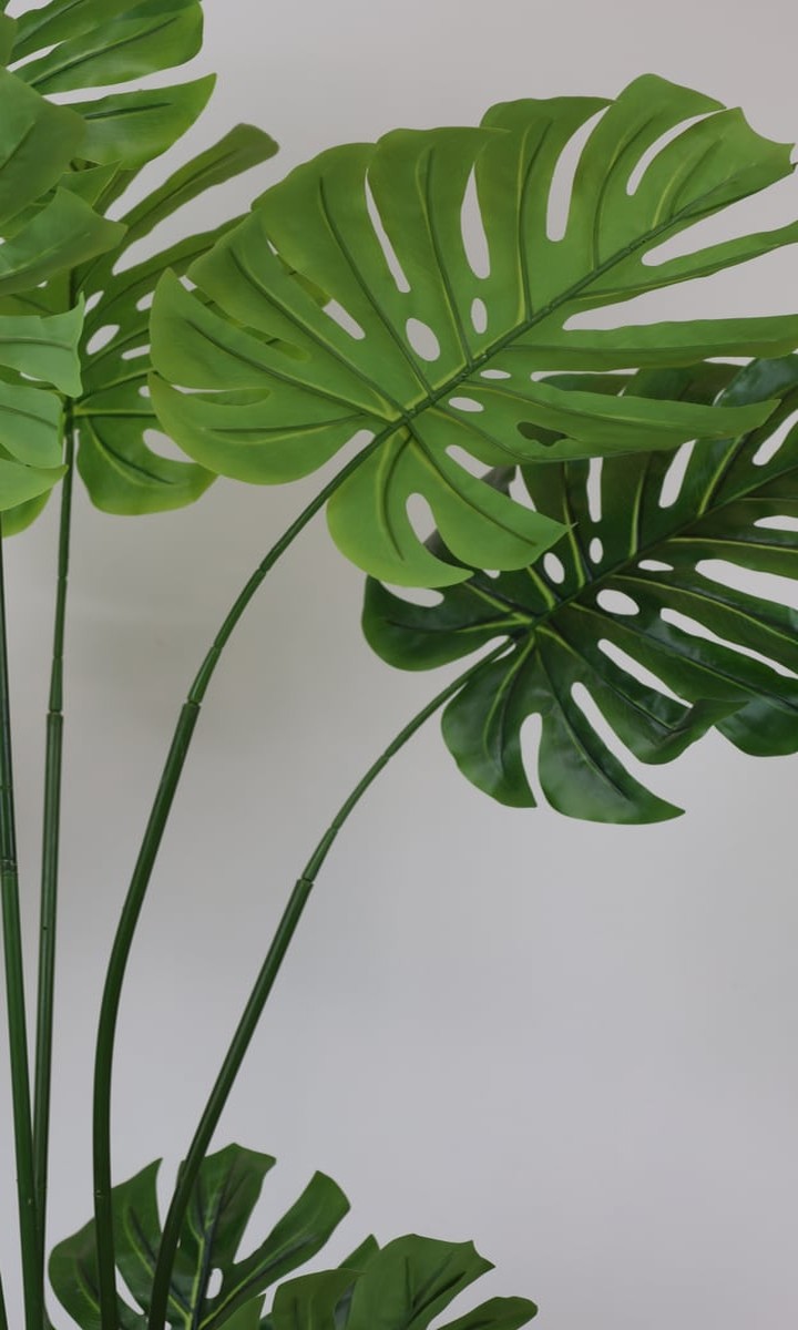 Krem Saksıda Uzun Dallı Yapay Monstera (Deve Tabanı) Bitkisi – 150 cm - Görsel 3