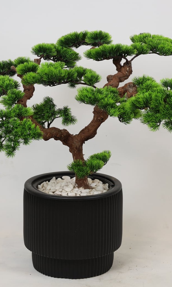 Siyah Oluklu Silindir Saksıda Kıvrımlı Yapay Çam Bonsai Ağacı – 110 cm - Görsel 1