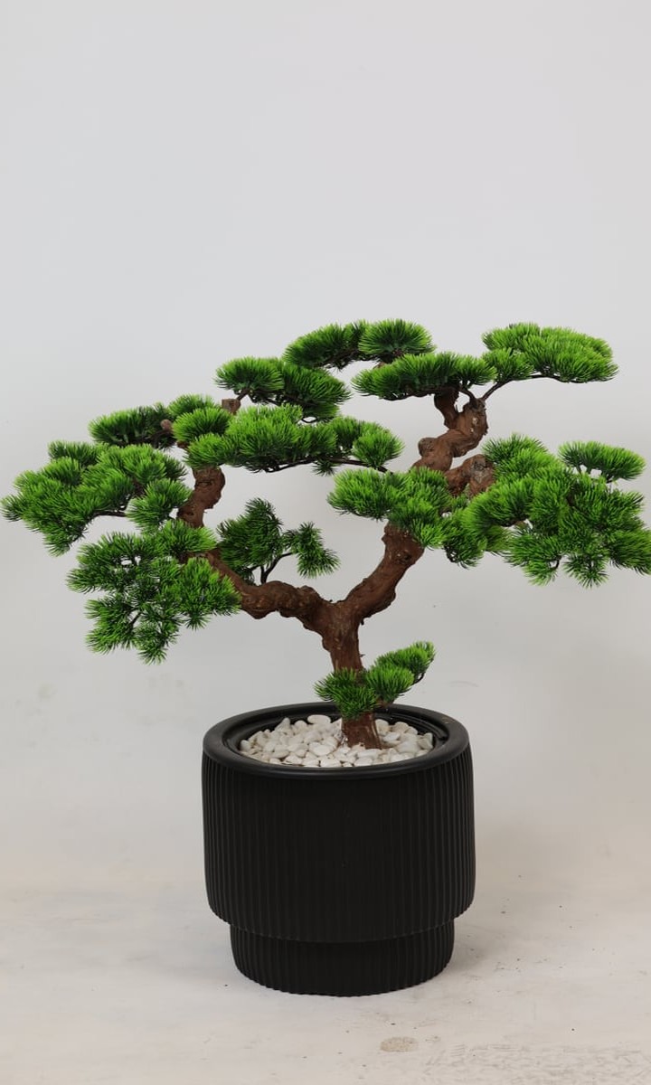 Siyah Oluklu Silindir Saksıda Kıvrımlı Yapay Çam Bonsai Ağacı – 110 cm - Görsel 2