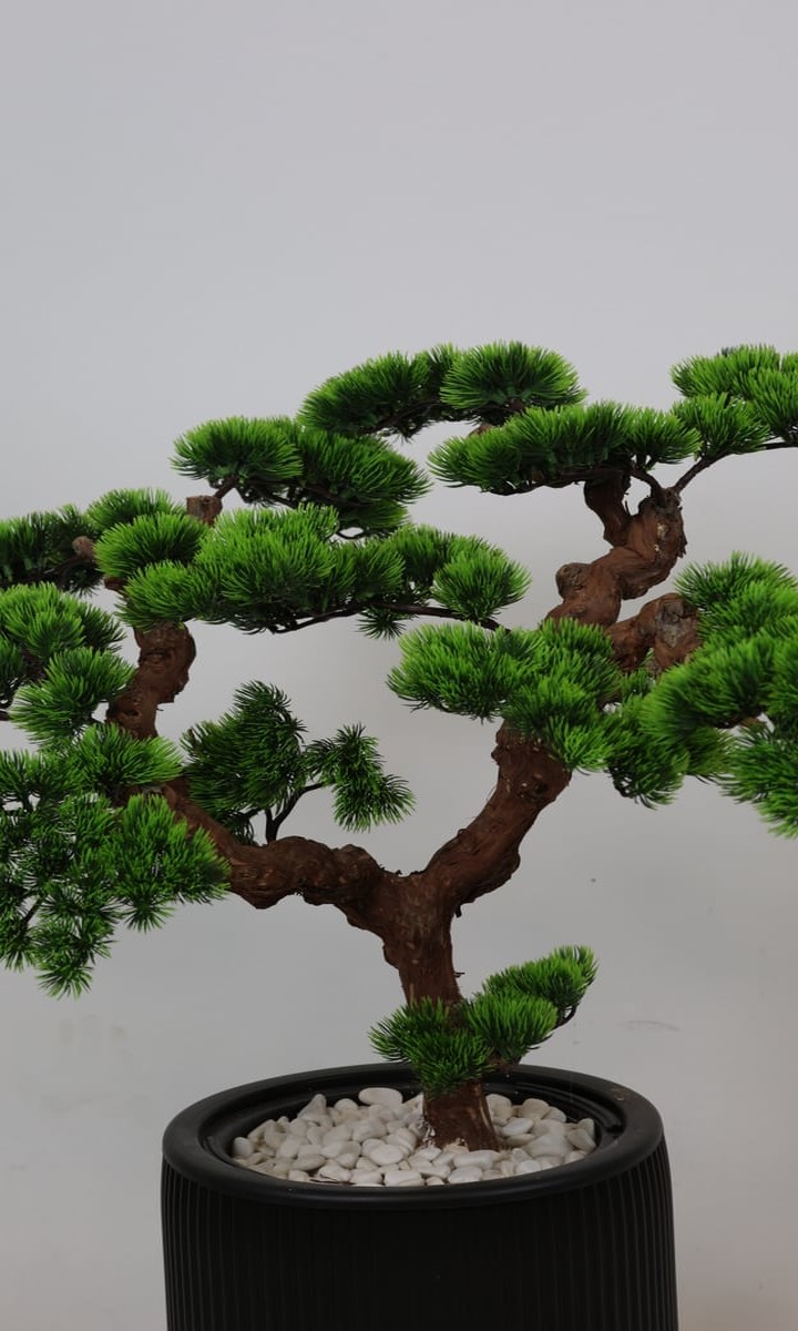Siyah Oluklu Silindir Saksıda Kıvrımlı Yapay Çam Bonsai Ağacı – 110 cm - Görsel 3