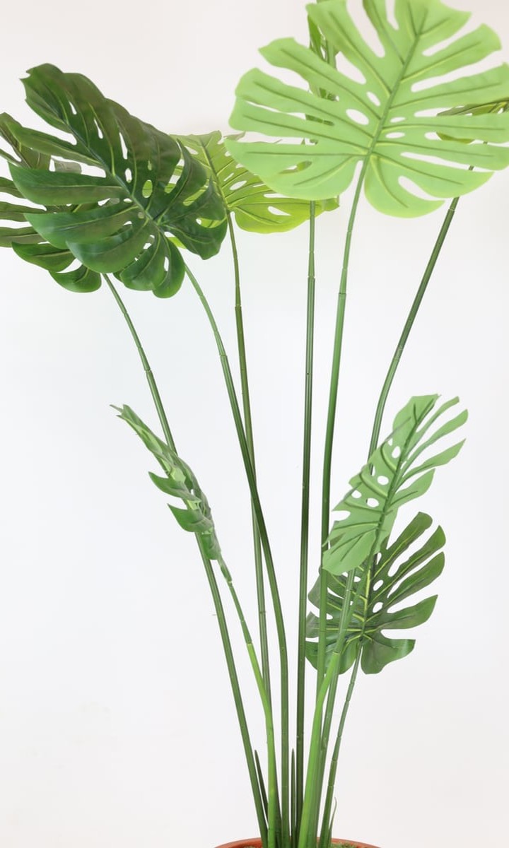 Terracotta Saksıda Uzun Dallı Yapay Monstera (Deve Tabanı) Bitkisi – 150 cm - Görsel 2