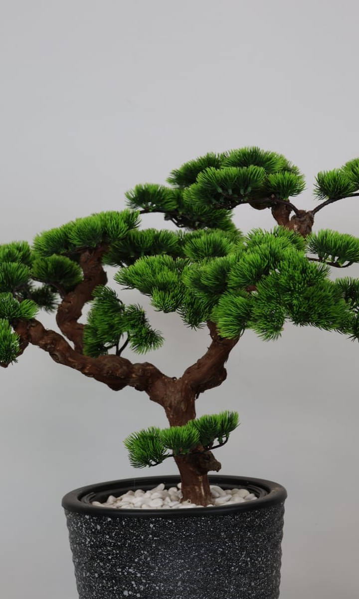 Uzun Antrasit Taş Dokulu Saksıda Kıvrımlı Yapay Çam Bonsai – 120 cm - Görsel 2