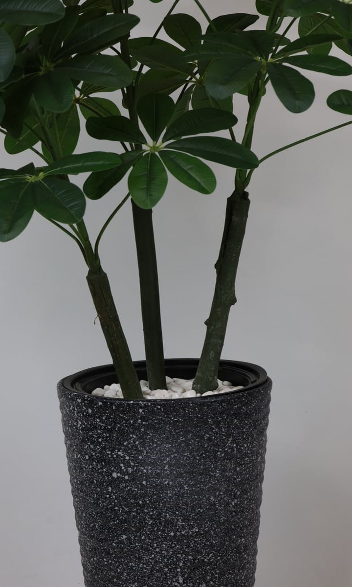Uzun Antrasit Taş Dokulu Saksıda Yapay Şeflera (Schefflera) Ağacı – 160 cm - Görsel 2