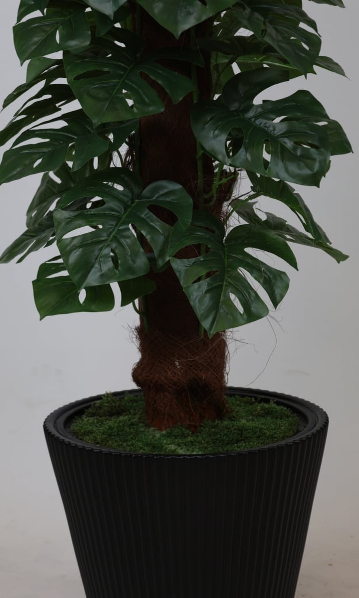 Yosunlu Sütun Gövdeli Yoğun Yapraklı Yapay Monstera (Deve Tabanı) – 170 cm - Görsel 2