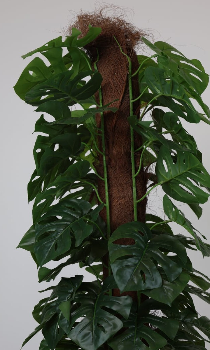 Yosunlu Sütun Gövdeli Yoğun Yapraklı Yapay Monstera (Deve Tabanı) – 170 cm - Görsel 3